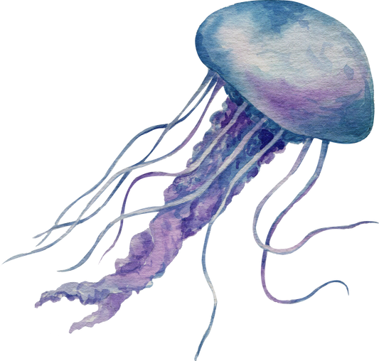 Watercolor Jellyfish Illustration