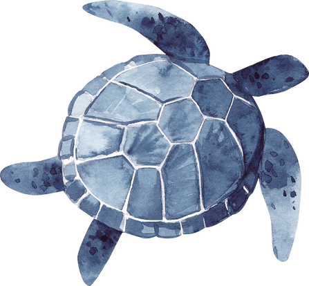 Watercolor illustration of an indigo sea turtle