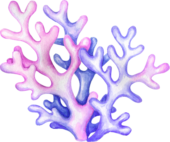 Watercolor Corals Illustration